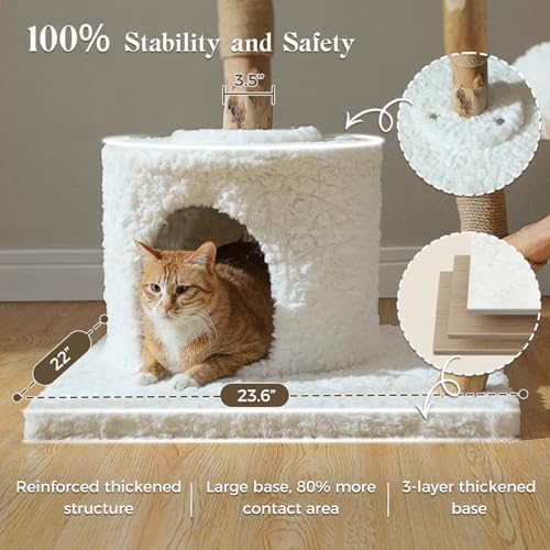 MUTTROS 59" Modern Wood Cat Tree - Image 5
