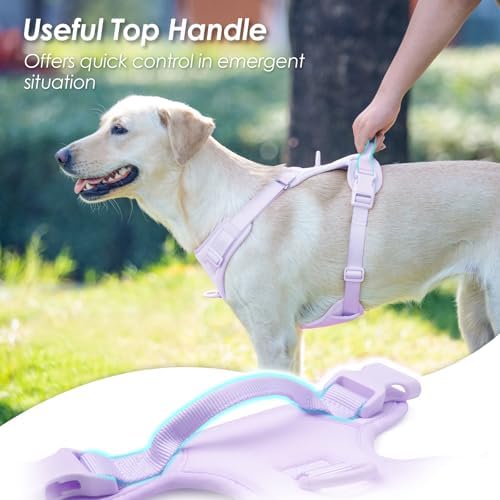 Sunraymascota No Pull Dog Harness - Image 4