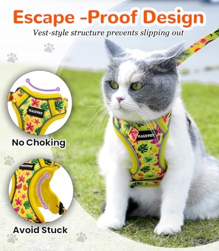 Halypet Cat Harness and Leash Set, Escape Proof Adjustable Harness - Image 2