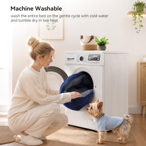 Asvin Small Dog Bed for Small Dogs, Cat Beds for Indoor Cats, Pet Bed for Puppy - Image 5