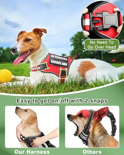 Service Dog Vest Harness and Leash Set+10 Patches Red XS - Image 4