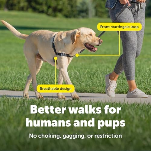 PetSafe Easy Walk Harness, No Pull Dog Harness, Deep Purple - Image 5