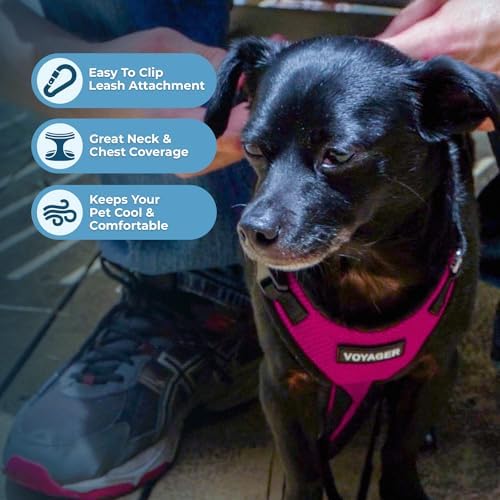 Voyager Step-in Lock Dog Harness - Image 3
