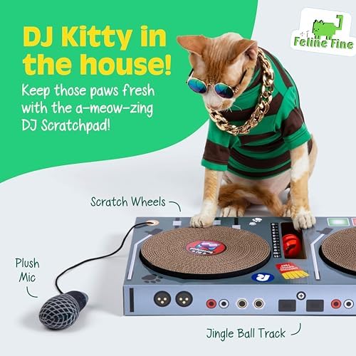 DJ Scratchpad Enrichment Cat and Kitten Toys - Image 2