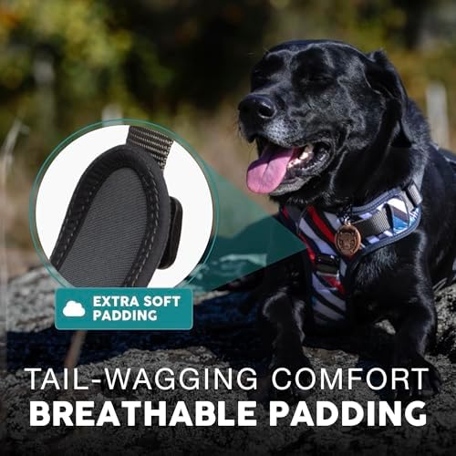 Embark No Pull Dog Harness, Reflective Adjustable Training Vest, No Choke - Image 3