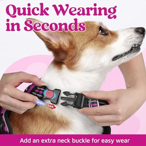rabbitgoo Dog Harness Medium Sized, No Pull 3 Buckles Easy On & Off - Image 2