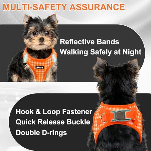 AIITLE Step in Small Dog Harness and Leash Set, Puppy Pet Vest - Image 6