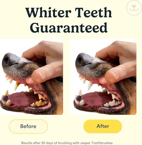 Jasper Dog Toothbrush, 360° Finger Toothbrush - Image 2