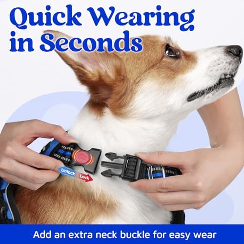 rabbitgoo Dog Harness for Large, No Pull 3 Buckles Easy On & Off - Image 2