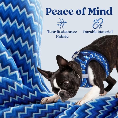 rabbitgoo Step-in Small Dog Harness, Puppy Vest - Image 4