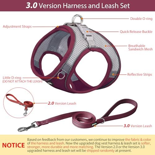 AIITLE Dog Harness and Leash Set, Step-in Puppy Pet Vest, Burgundy XXXS - Image 4