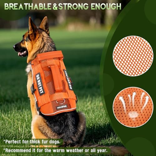 WINSEE Tactical Molle Vest Mesh Dog Harness - Image 2