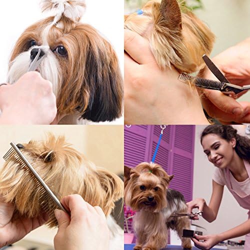 Dog Grooming Kit with Round Tip, 6 in 1 Cat Dog Grooming Scissors, Stainless - Image 6