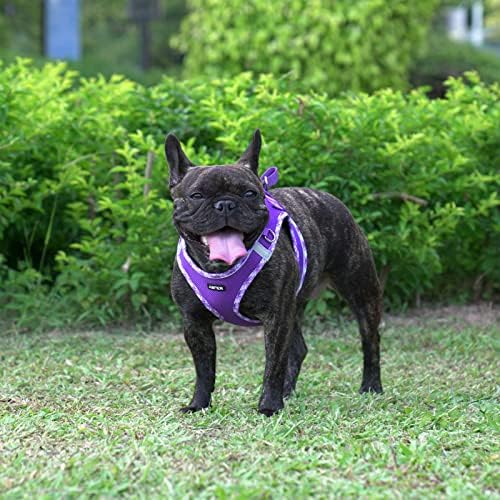 AMTOR Small Dog Harness with Leash Set, No Escape Easy Walk Puppy Harnesses - Image 5