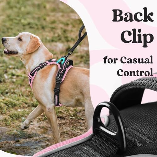rabbitgoo Dog Harness Medium Sized, Updated Easy On & Off - Image 5