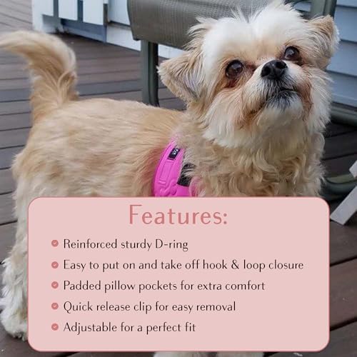 No Pull Dog Harness for Small, Medium & Large Dogs – Soft Padded, Adjustable - Image 5