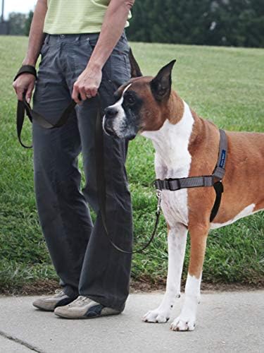 PetSafe Easy Walk Deluxe Dog Harness, No Pull Dog Harness – Perfect - Image 2