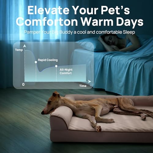 Cooling Dog Bed for Small, Medium Dogs & Cats - Image 2