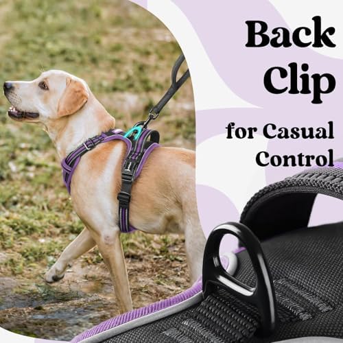 rabbitgoo Dog Harness Medium Sized, Updated Easy On & Off - Image 5