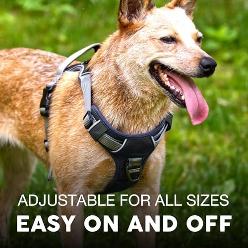 Embark No Pull Dog Harness, Reflective Adjustable Training Vest, No Choke - Image 5