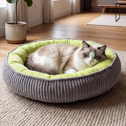 Calming Dog Bed for Small Dogs, Velvet Corduroy Washable Donut Pet Bed by TailThrone
