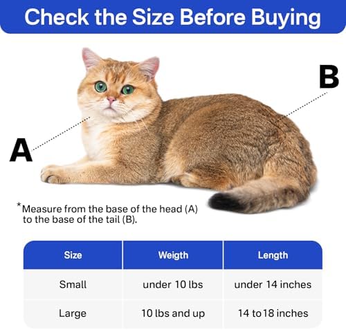 Cat Carrier Pouch for Small Cats Under 10 lbs, Soft Cat Carrier - Image 2