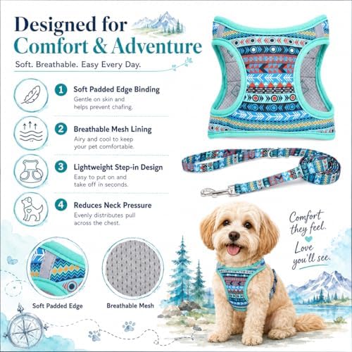 Step in Boy Dog Harness Leash Set- All Weather Reflective No-Pull Padded Mesh - Image 2