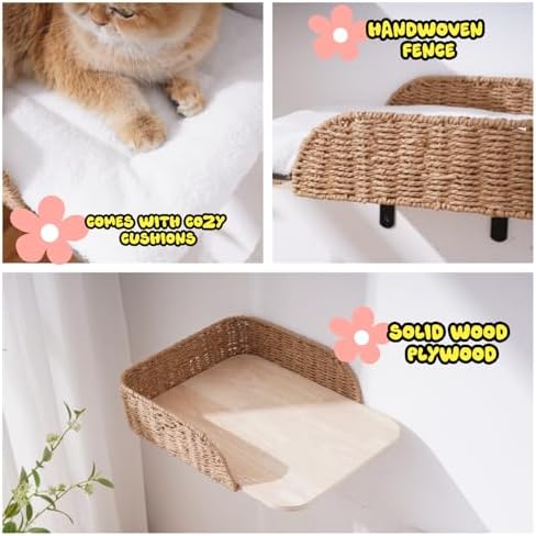 SHENGOCASE 2-Pack Wooden Cat Wall Bed - Image 3