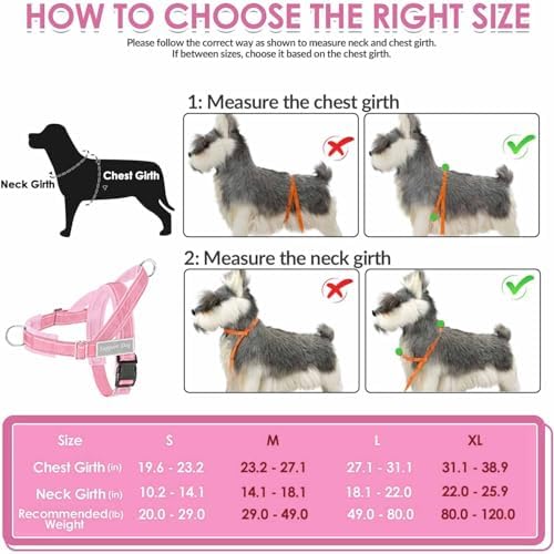 Lukovee No Pull Dog Harness and Leash Set, Soft Padded - Image 5