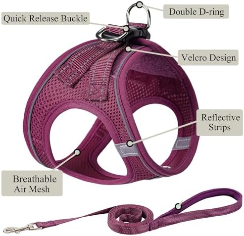 Dog Harness with Leash Set, Step-in Adjustable Puppy Pet Vest, Cranberry XXS - Image 2