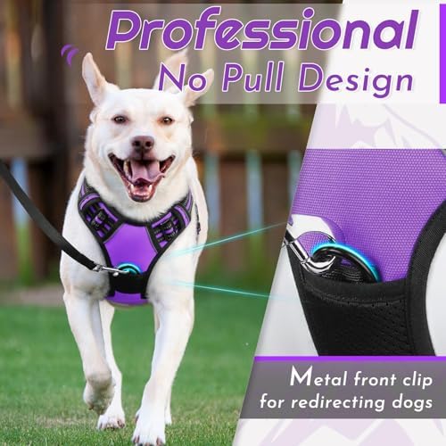 Eagloo Dog Harness for Small Dogs, No Pull Pet Vest - Image 3