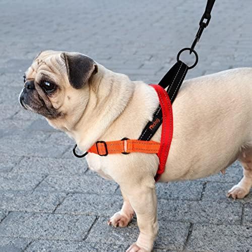 Didog No Pull Dog Harness for Medium Dogs, Soft Padded Handle - Image 5