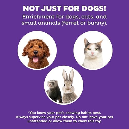 Outward Hound Nina Ottosson Dog Hide N' Slide Dog Toy Treat Puzzle - Image 5