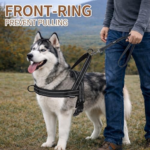 No Pull Dog Harness & 5FT Leash Set - Image 6