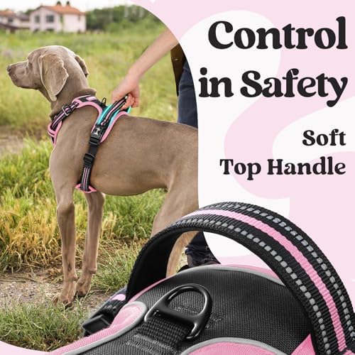 rabbitgoo Dog Harness for Large, Updated Easy On & Off - Image 4