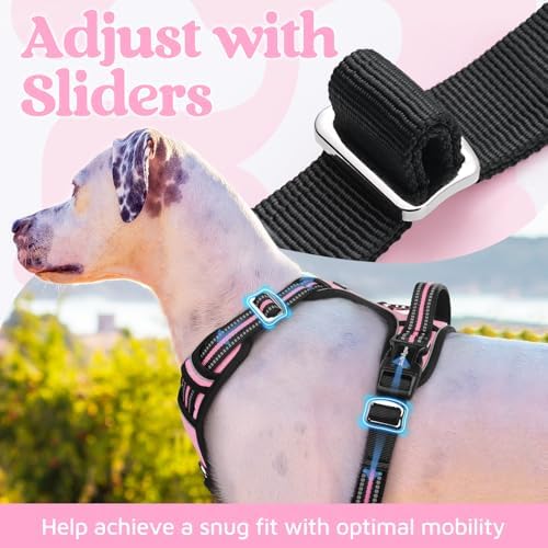 rabbitgoo Dog Harness for Large, No Pull 3 Buckles Easy On & Off - Image 5