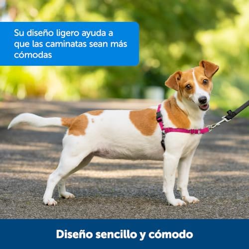 PetSafe Easy Walk Harness, No Pull Dog Harness, Royal Blue, Small/Medium - Image 4