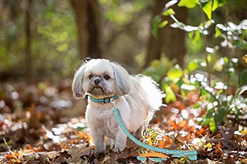 NFL Miami Dolphins Dog & Cat Leash - Image 4
