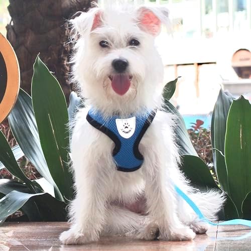 Hypeety Dog Vest Harness No-Pull Reflective Step-in Air Mesh Vest - Image 5