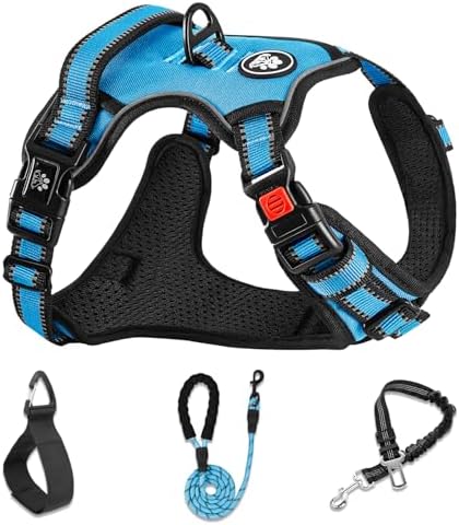 NESTROAD Dog Harness for Small Sized Dog, No Pull Dog Vest Harness Set by NESTROAD