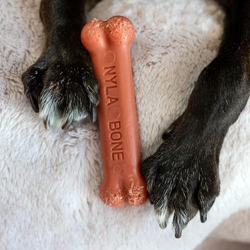 Nylabone Power Chew Original Bone Dog Chew Toy, Bacon Flavor - Image 2