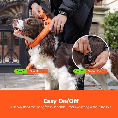 Didog No Pull Dog Harness for Small Dogs, Breathable Mesh Padded - Image 4