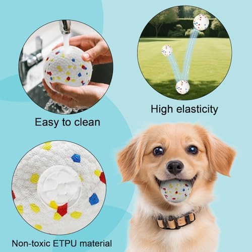 6-Ball 2.2-Inch Dog Ball Replacement Set - Image 2