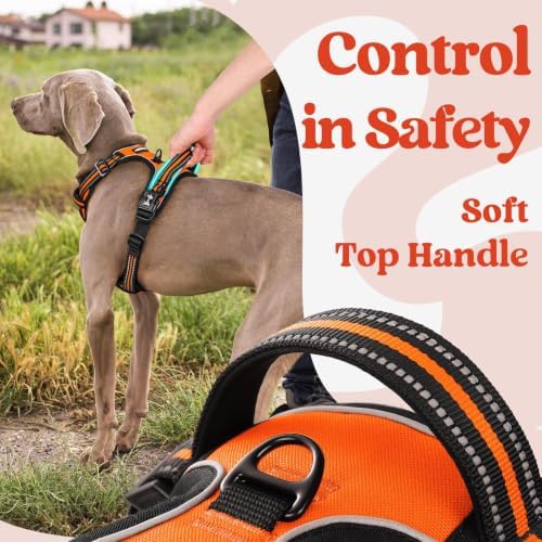 rabbitgoo Dog Harness Medium Sized, Updated Easy On & Off - Image 5