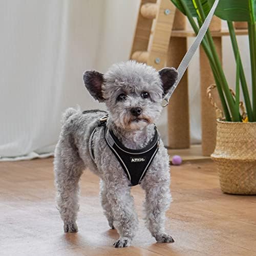 AIITLE Medium Dog Harness and Leash Set, Step-in Puppy Pet Vest - Image 3