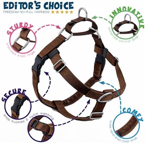 2 Hounds Design Freedom No Pull Dog Harness, 1 inch LG - Image 4