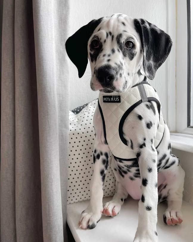 Step in Dog Harness, Lightweight Breathable Mesh Soft Padded Pet Vest, Vegan - Image 6