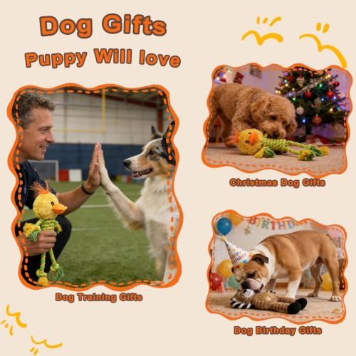 Duck Rope Dog Toy, Plush Lion Squeaky Dog Toy, 2 Pack - Image 4