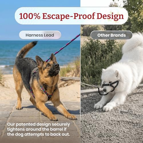 Harness Lead No Pull Dog Harness and Leash Set, Anti Pull Dog Harness - Image 6