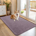 OLANLY Dog Door Mat for Muddy Paws 45x27, Super Absorbent Chenille Mud Mat by OLANLY